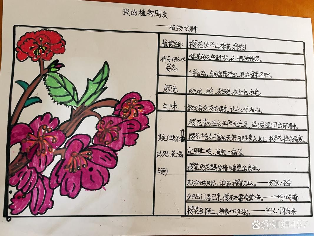 植物知识文章推荐卡图片(植物知识卡怎么写)
