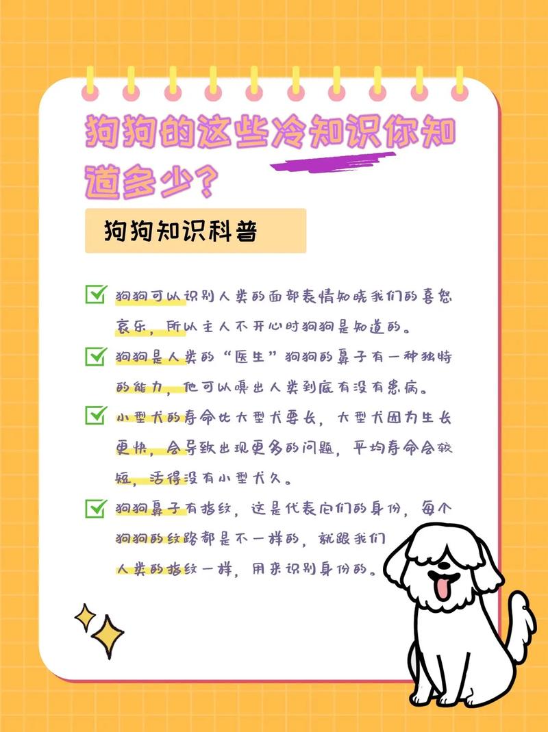 狗狗知识科普文章-{下拉词