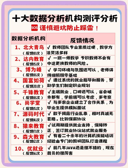 数据分析师培训机构排行-{下拉词