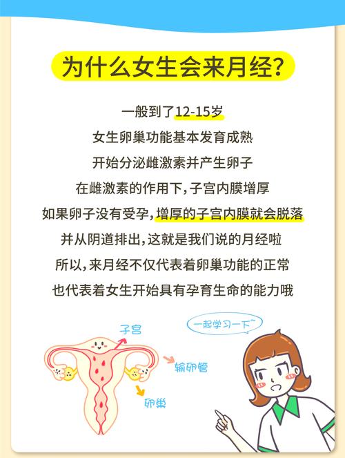 关于姨妈期的知识文章(有关经期的知识)