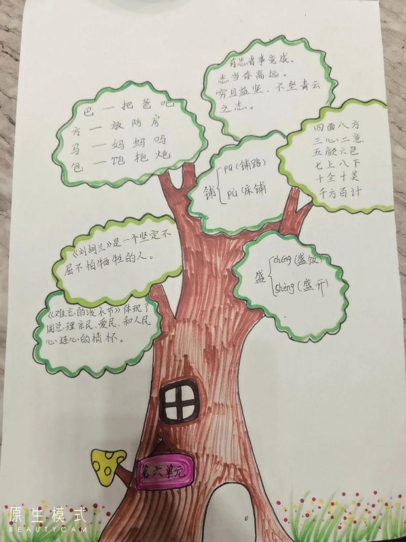 知识树的文章-{下拉词