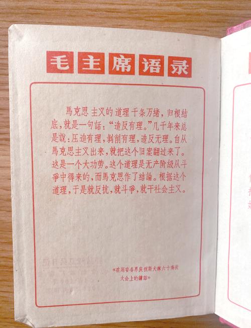 知识青年文章-{下拉词