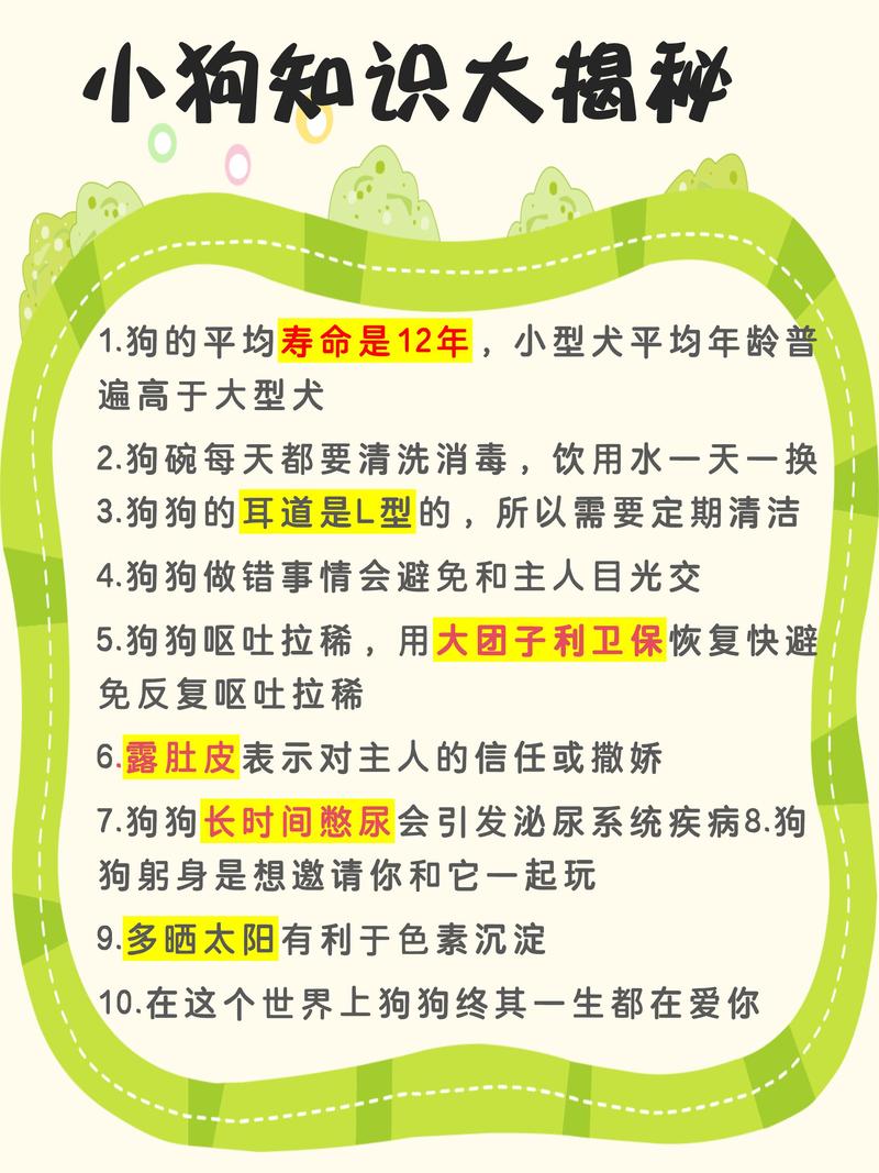 狗狗知识文章摘抄-{下拉词