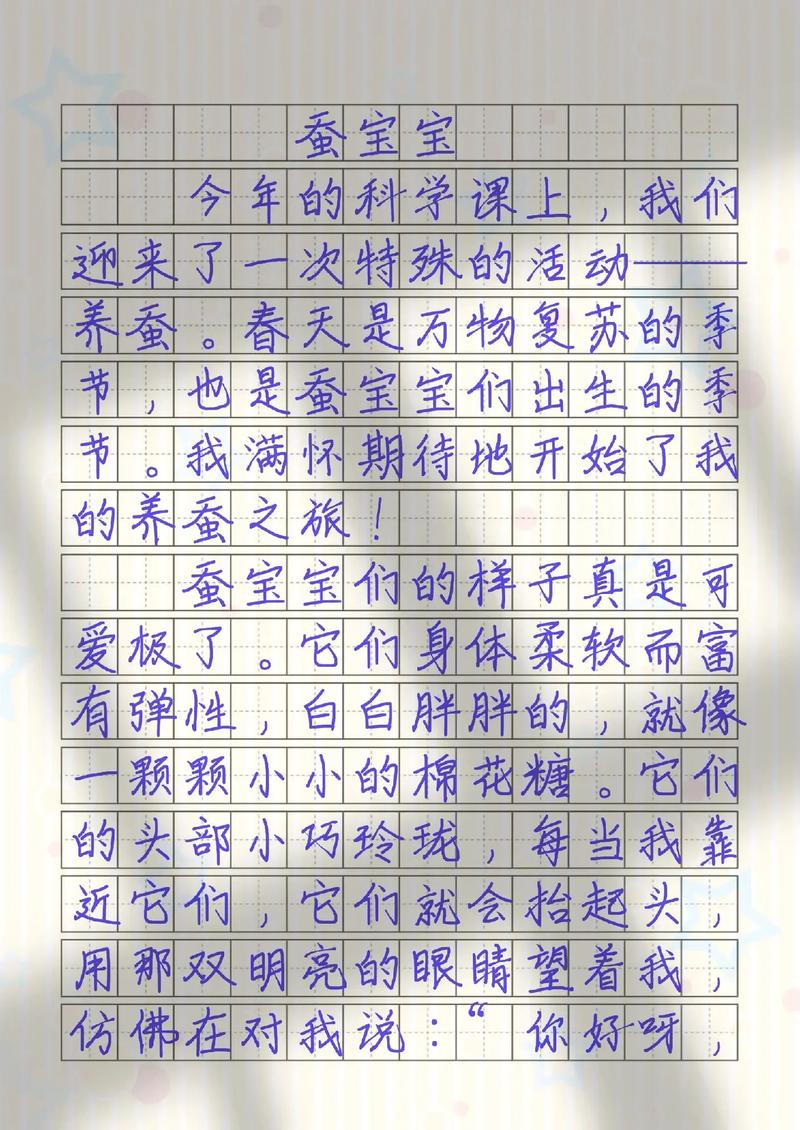 关于养蚕宝宝知识的文章(关于养蚕宝宝的作文)