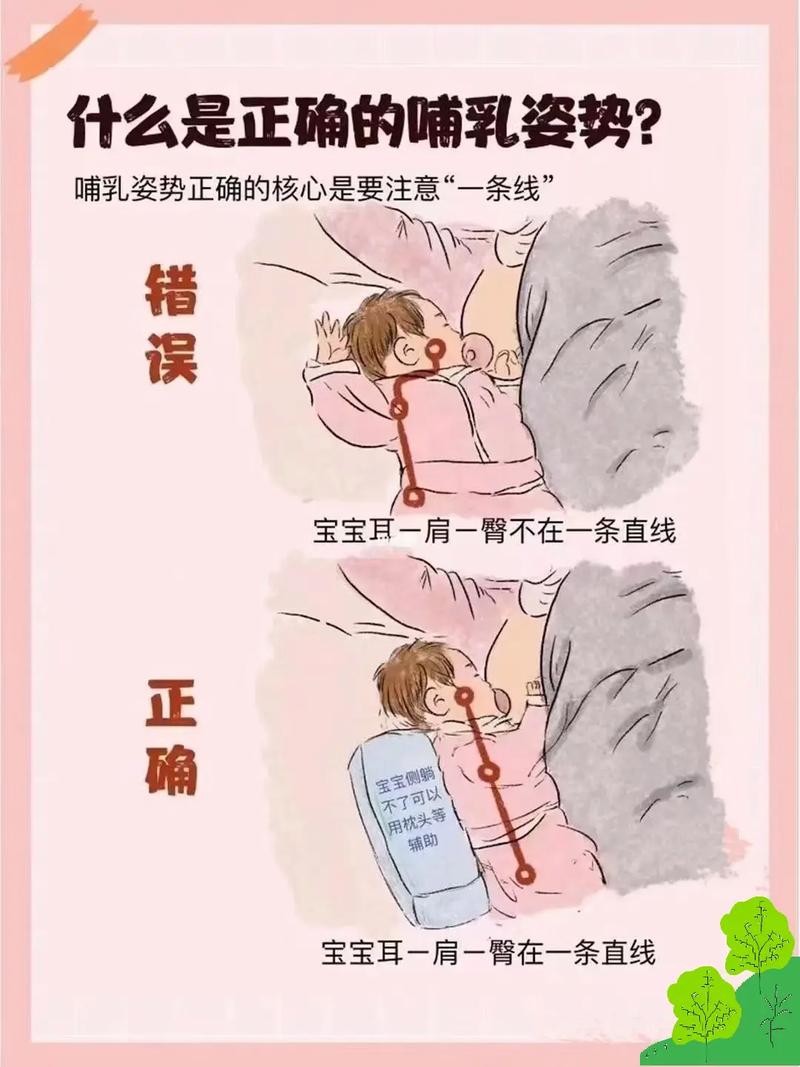 喂奶知识讲解图文章视频(真确喂奶知识)