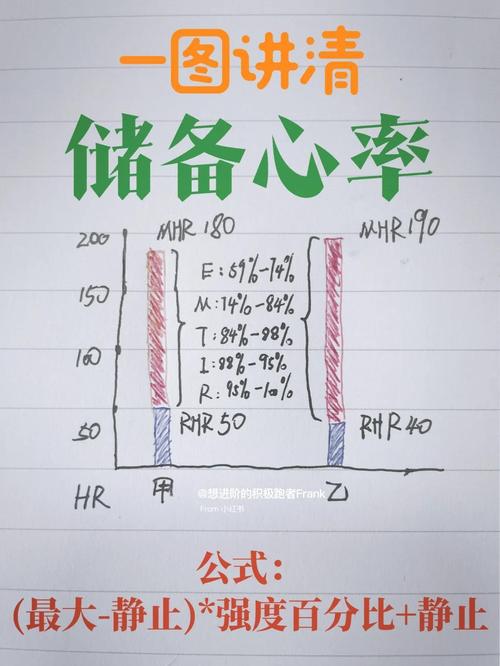 心率的文章知识-{下拉词