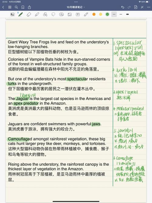 亚马逊3知识文章(亚马逊必读)