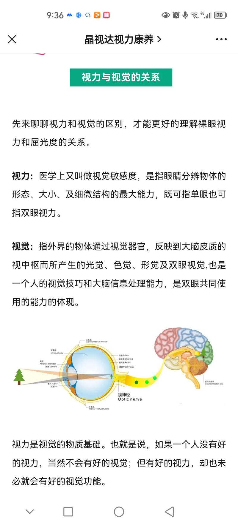 视力知识科普文章-{下拉词