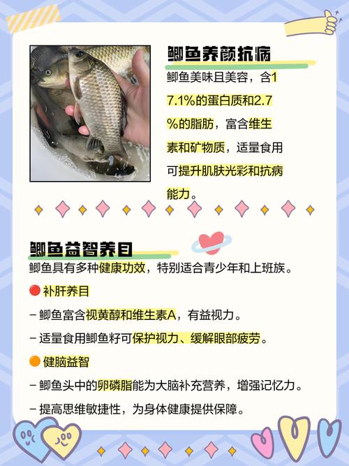 鲫鱼知识科普文章-{下拉词