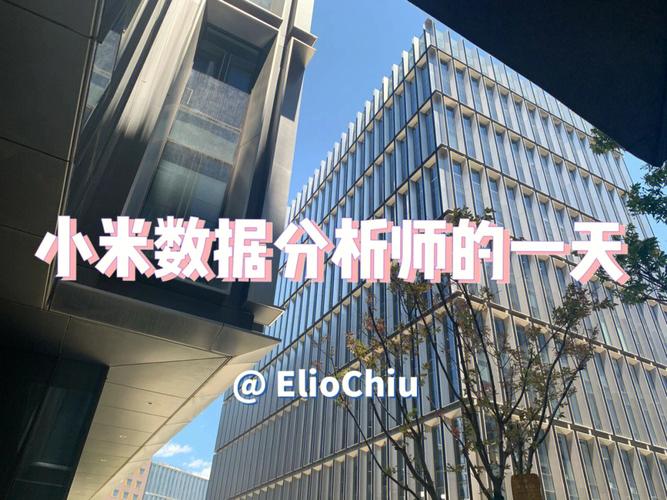 小米数据分析师(小米 数据分析师)