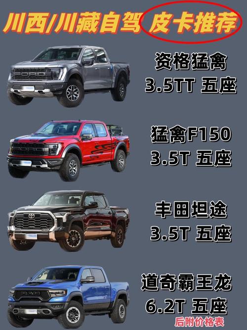 专注汽车资讯解说皮卡亮相(皮卡汽车百科)