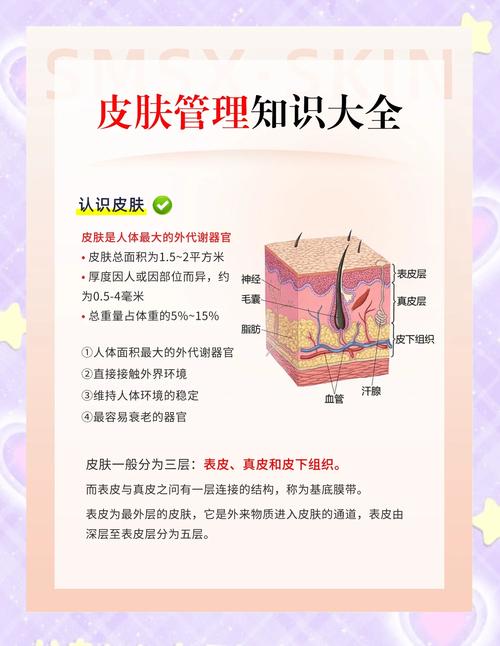 皮肤知识科普热门文章标题(关于皮肤的科普视频)