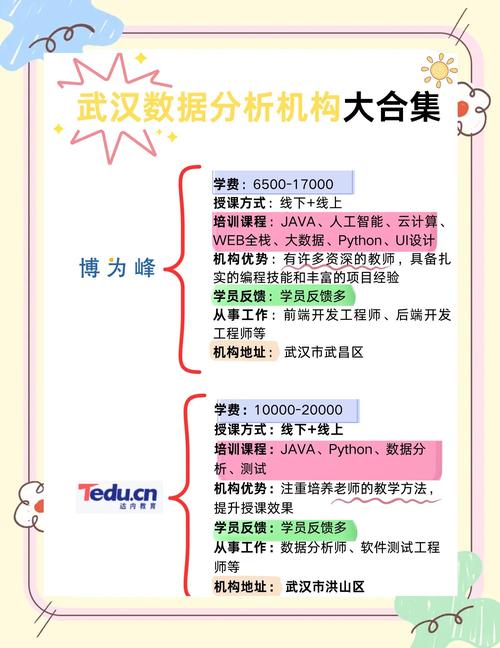机构培训数据分析(机构培训数据分析怎么写)