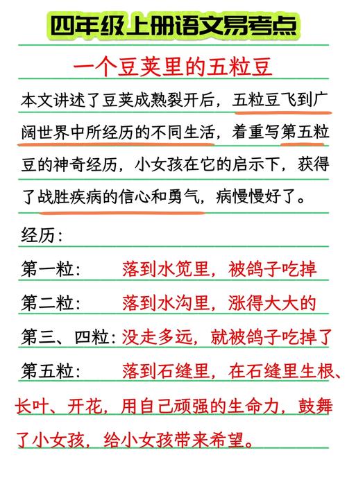豆子知识科普文章-{下拉词