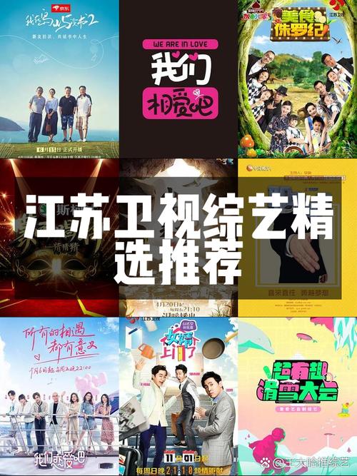 江苏卫视娱乐资讯-{下拉词