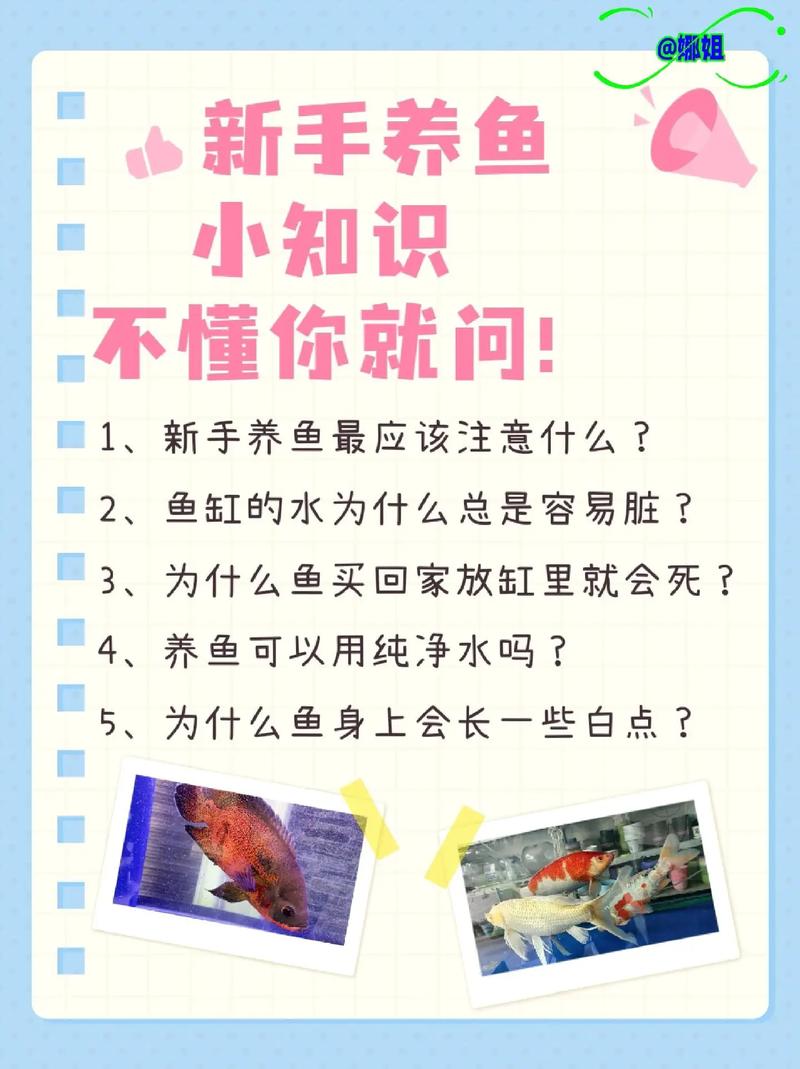 养鱼知识共享文章-{下拉词