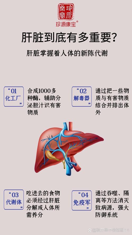 肝脏知识科普文章-{下拉词