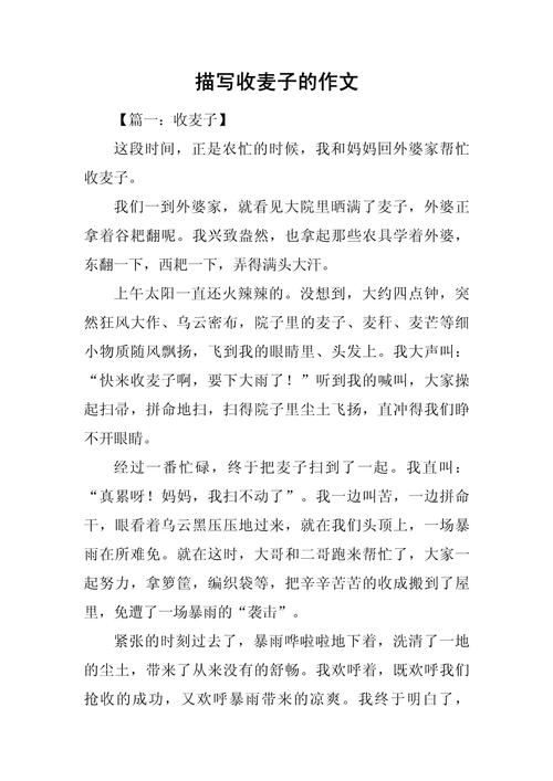 关于收麦的知识文章(关于收麦子的文章)