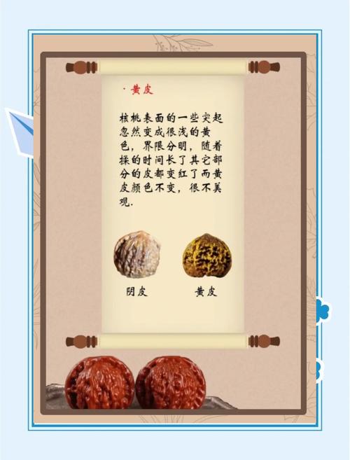文玩知识文章大全-{下拉词