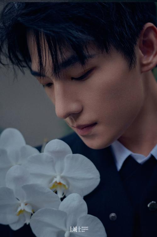 杨洋 娱乐资讯-{下拉词