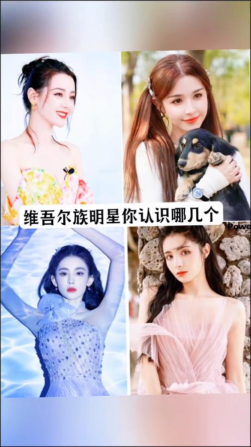 娱乐明星资讯新疆-{下拉词