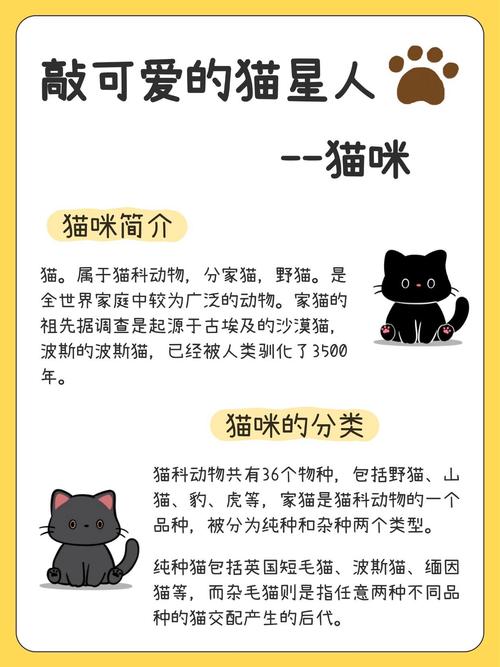 娱乐资讯君猫咪-{下拉词