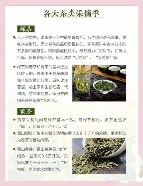茶叶知识科普文章-{下拉词