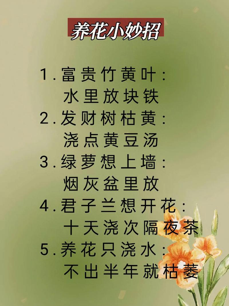养花知识小文章-{下拉词